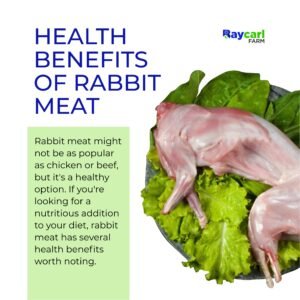 Rabbit meat